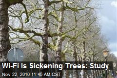Study Finds that Wifi is Sickening Trees