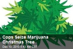 Cops Seize Marijuana Xmas Tree