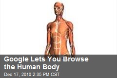 Google Lets You Browse the Human Body