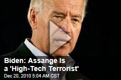 Joe Biden: Julian Assange Is a 'High-Tech' Terrorist