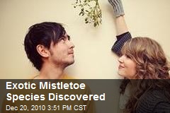 Exotic Mistletoe Species Discovered