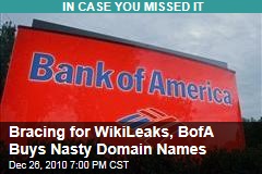 Bracing for WikiLeaks, BofA Buys Nasty Domain Names