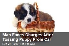 Man Faces Charges After Tossing Puppy From Car
