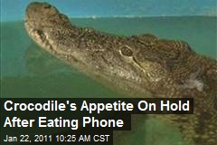 Crocodile's Appetite On Hold After Eating Phone