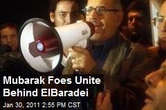 Mubarak Foes Unite Behind ElBaradei