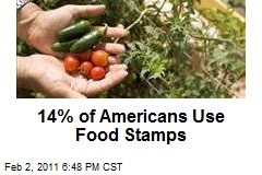 14% of Americans Use Food Stamps