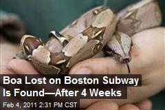 Boa Lost on Boston Subway Is Found&mdash;After 4 Weeks