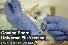 Coming Soon: Universal Flu Vaccine