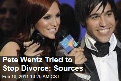 Pete Wentz Tried to Stop Divorce: Sources