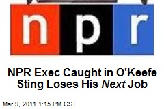 NPR Exec Caught in O'Keefe Sting Loses His Next Job