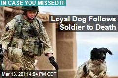 Loyal Dog Follows Soldier to Death
