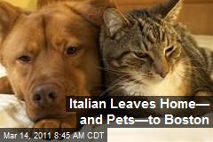 Italian Leaves Home&mdash; and Pets&mdash;to Boston