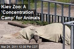 Kiev Zoo: A 'Concentration Camp' for Animals