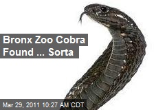 Bronx Zoo Cobra Found ... Sorta
