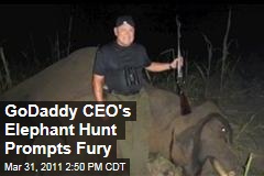 GoDaddy CEO Bob Parson's Elephant Hunt Video Prompts Fury