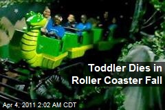 Toddler Dies in Roller Coaster Fall