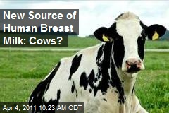 New Source of Human Breast Milk: Cows?
