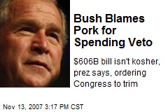 Bush Blames Pork for Spending Veto