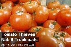Tomato Thieves Nab 6 Truckloads
