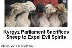 Kyrgyz Parliament Sacrifices Sheep to Expel Evil Spirits