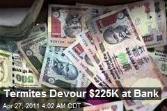 Termites Devour $225K at Indian Bank