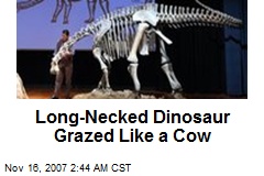 Long-Necked Dinosaur Grazed Like a Cow