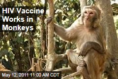 AIDS Research: HIV Vaccine Works in Monkeys