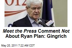 Newt Gingrich Tells Rush Limbaugh 'Meet the Press' 'Right-Wing Social Engineering' Comment Not About Paul Ryan