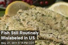 Fish Still Routinely Mislabeled in US