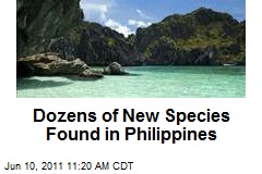 Dozens of New Species Found in Philippines