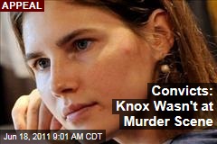 Amanda Knox Retrial: Convicts Testify That Rudy Guede Said She Didn't Kill Meredith Kercher