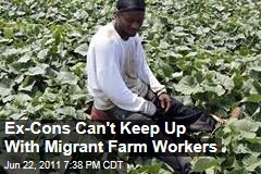 Georgia Illegal Immigrant Worker Jobs Filled By Criminal Offenders