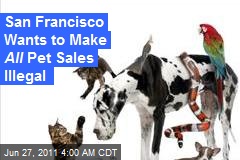 San Franscisco Wants to Make All Pet Sales Illegal