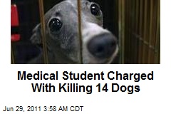 Medical Student Charged With Killing 14 Dogs