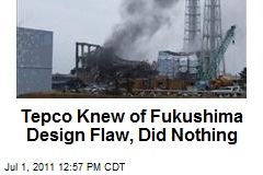 Tepco Knew of Fukushima Design Flaw, Did Nothing