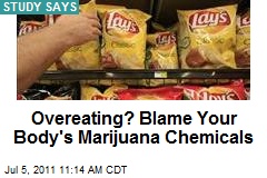 Overeating? Blame Your Body&#39;s Marijuana Chemicals