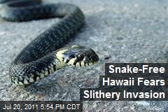 Snake-Free Hawaii Fears Slithery Invasion