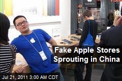 Fake Apple Stores Sprouting in China