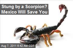 FDA Approves Mexican Scorpion Anti-Venom