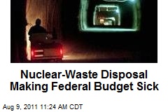 Nuclear Waste Making Federal Budget Sick