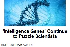 &#39;Intelligence Genes&#39; Continue to Puzzle Scientists