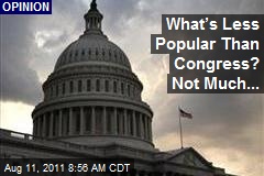 What&rsquo;s Less Popular Than Congress? Not Much...
