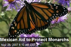Mexican Aid to Protect Monarchs