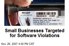 Small Businesses Targeted for Software Violations