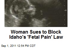 Woman Sues to Block Idaho&#39;s &#39;Fetal Pain&#39; Law