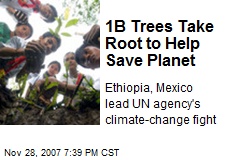 1B Trees Take Root to Help Save Planet