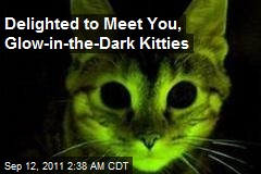Delighted to Meet You, Glow-in-the-Dark Kitties