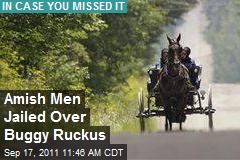 Amish Men Jailed Over Buggy Ruckus