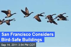 San Francisco Considers Bird-Safe Buildings