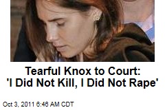 Tearful Amanda Knox Addresses Italian Court: I Am Innocent of Meredith Kercher's Murder